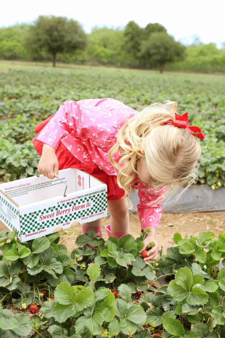 Sweetberry Farm